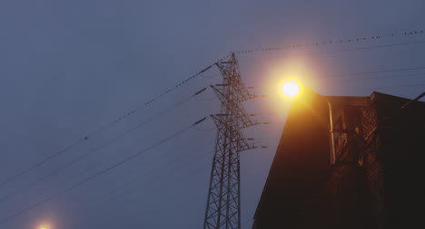 Power-Lines-at-Dawn