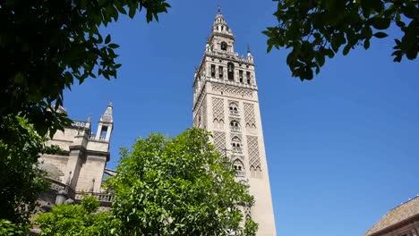 Sevilla-Giralda-Turm-Von-Blättern-Umrahmt