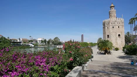 Seville-Flowers-Guadalquivir-River-And-Torre-Del-Oro