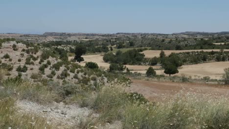 Spain-Aragon-Landscape-With-Fields-And-Trees