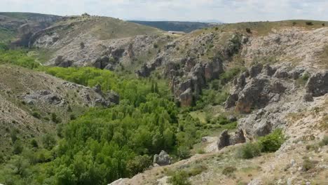 Spain-Canyon-Of-The-Rio-Dulce-With-Trees-Near-Siguenza