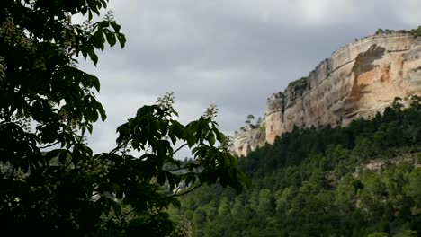 Spain-Serrania-De-Cuenca-Chestnut-Tree-In-Flower-With-Mountain-Cliff
