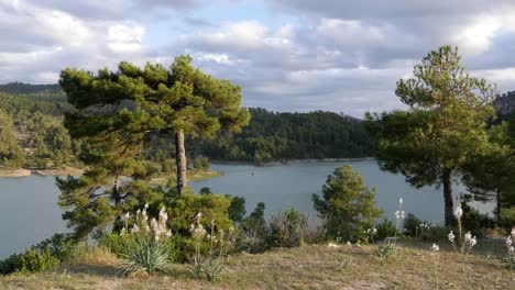 Spain-Serrania-De-Cuenca-Mountain-Lake-With-Pines-And-Flowers