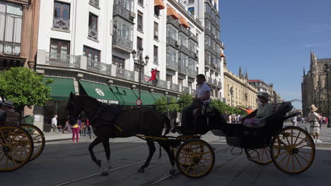 Spain-Seville-Horses-And-Buggies