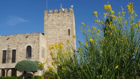 Spain-Tortosa-Castle-And-Yellow-Flowers