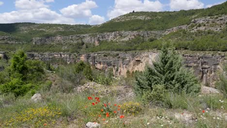 Spanien-Vista-Mit-Wildblumen-In-Der-Nähe-Von-Cuenca