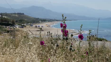 Griechenland-Kreta-Ägäisküste-Mit-Stockrosen-Und-Strand
