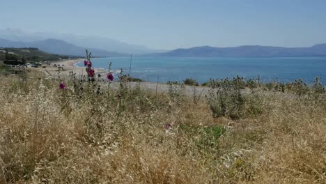 Griechenland-Kreta-Ägäisküste-Mit-Stockrosen-Und-Unkraut