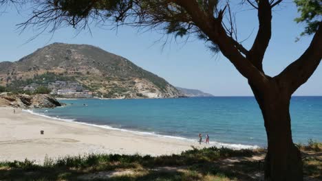 Greece-Crete-Bay-Of-Fodele-Beach-And-Tree