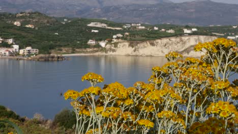 Griechenland-Kreta-Bucht-Jenseits-Gelber-Blumen