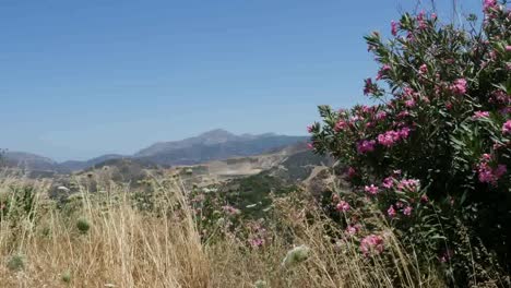Greece-Crete-Hills,-Grass-Blowing-And-Oleander