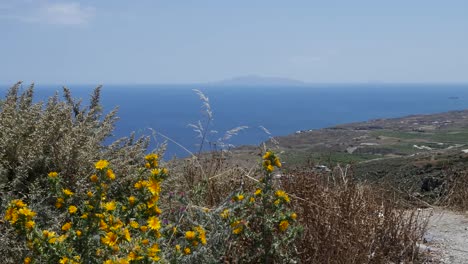 Greece-Santorini-Flowers-And-Coast