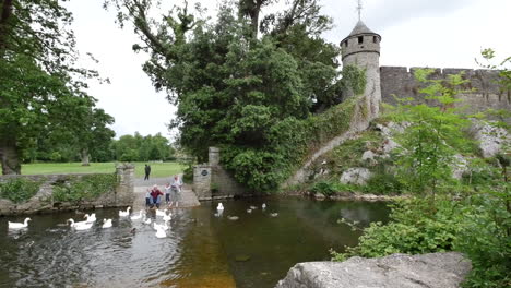 Ireland-Cahir-Castle-On-River-Suir-With-People-Feeding-Geese