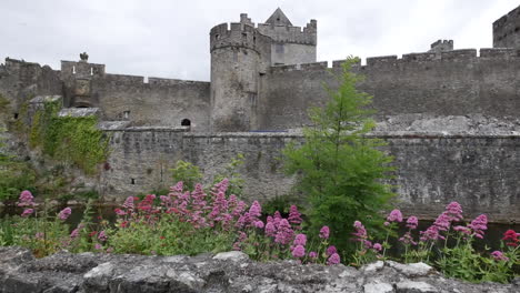 Ireland-Cahir-Castle-Wall-With-Flowers