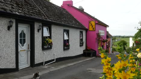 Irland-Cashel-Weiße-Und-Rosa-Cottages-Mit-Gelben-Blumen