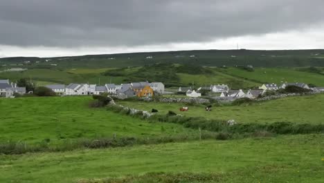 Ireland-County-Clare-Doolin-Surrounded-By-Green-Fields-Pan