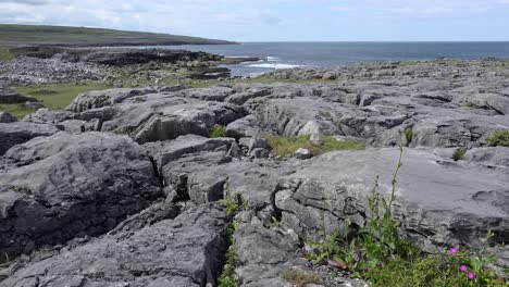 Ireland-County-Clare-The-Burren-Barren-Rocks-Along-Coast