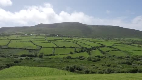 Irland-Dingle-Peninsula-Hill-Mit-Hecken-Zeitraffer-Pan