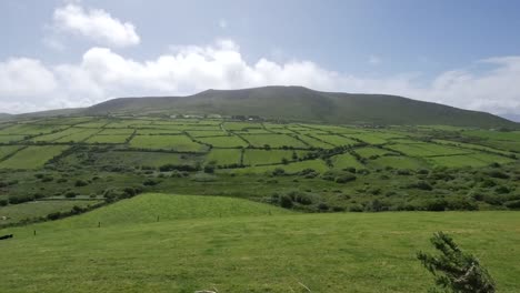 Ireland-Dingle-Peninsula-Hill-With-Hedgerows-Time-Lapse