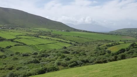 Ireland-Dingle-Peninsula-Rolling-Slopes-And-Hedgerows-Zoom-And-Pan
