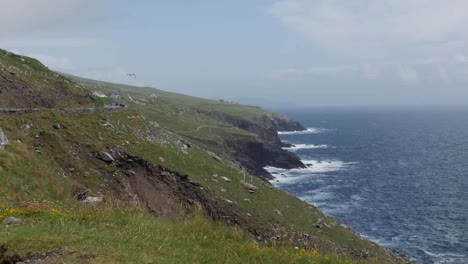 Ireland-Dingle-Peninsula-Stark-Hillside-Meets-Sea-Zoom-Out