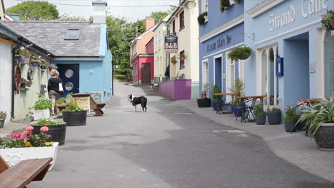 Irland-Dingle-Ein-Hund-Geht-Eine-Straße-Hoch