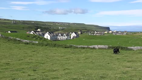 Irland-Doolin-Ansicht-Mit-Schwarzen-Kühen-Und-Häusern-Zoom