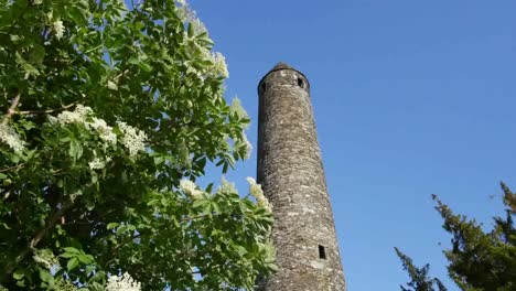 Ireland-Glendalough-Round-Tower-Top-With-Elderflower-Shrub