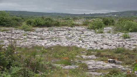 Ireland-The-Burren-Limestone-Karst