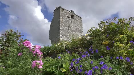 Irland-County-Galway-Rinvyle-Castle-Tower-Im-Sonnenschein-Castle