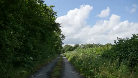 Irland-County-Offaly-County-Lane