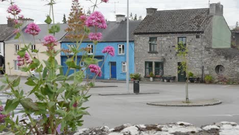Ireland-County-Offaly-Small-Town-Houses-With-Flowers
