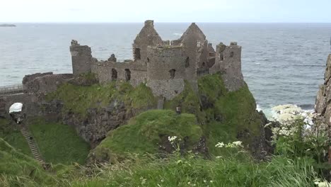 Northern-Ireland-Dunluce-Castle-And-Queen-Annes-Lace-Zoom-In