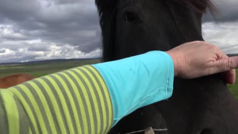 Iceland-Petting-A-Horse