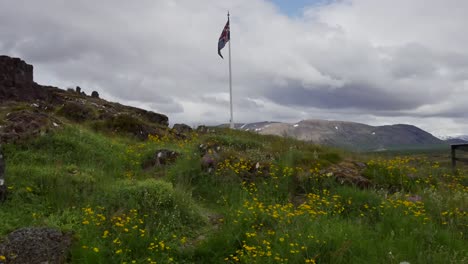 Island-Pingvellir-Flagge-Am-Sammelplatz