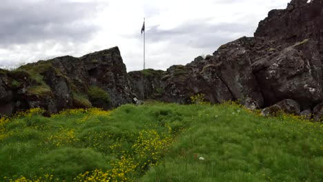 Island-Pingvellir-Flagge-über-Riss-Mit-Vordergrundblumen
