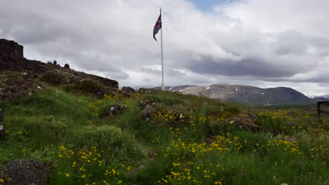 Island-Pingvellir-Blumen-Mit-Flagge