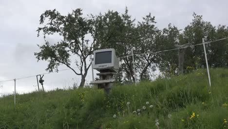 Island-Computermonitor-Im-Baum