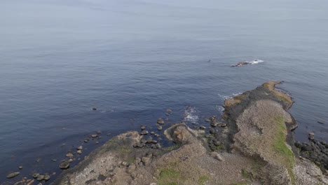 Northern-Ireland-Giants-Causeway-Looking-Down-