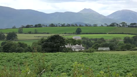 Northern-Ireland-Mountains-Of-Mourne-Behind-Fields