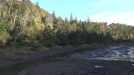 Canada-Halls-Harbour-Reservoir-Sun-On-Trees-Low-Tide