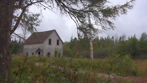 Canada-Nova-Scotia-Abandoned-House-Framed-By-Branch