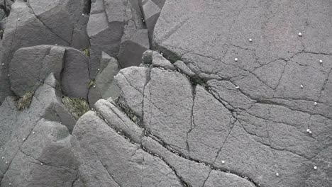 Canada-Nova-Scotia-Clips-In-Rocks-With-Snails