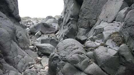 Kanada-Nova-Scotia-Mit-Blick-über-Schneckenbedeckte-Felsen-Rock