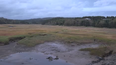 Canada-Nova-Scotia-Tidal-Mud-Flat-And-Marsh-Pan