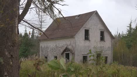 Canada-Nova-Scotia-Tree-With-Abandoned-House