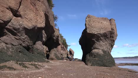Canada-People-Explore-With-A-Dog-At-Hopewell-Rocks