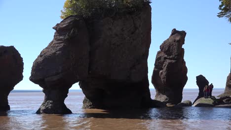 Canada-People-Stand-On-Rocks-At-Hopewell-Rocks