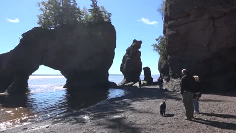 Canadá-Personas-Con-Perro-En-Hopewell-Rocks