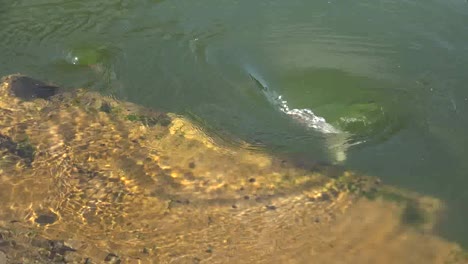 Canada-Reservoir-Pair-Of-Whirlpools